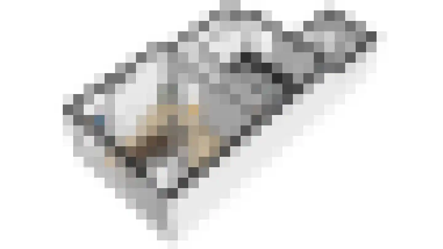 Klein Vlaanderen 31 Middelburg thumbnail 6