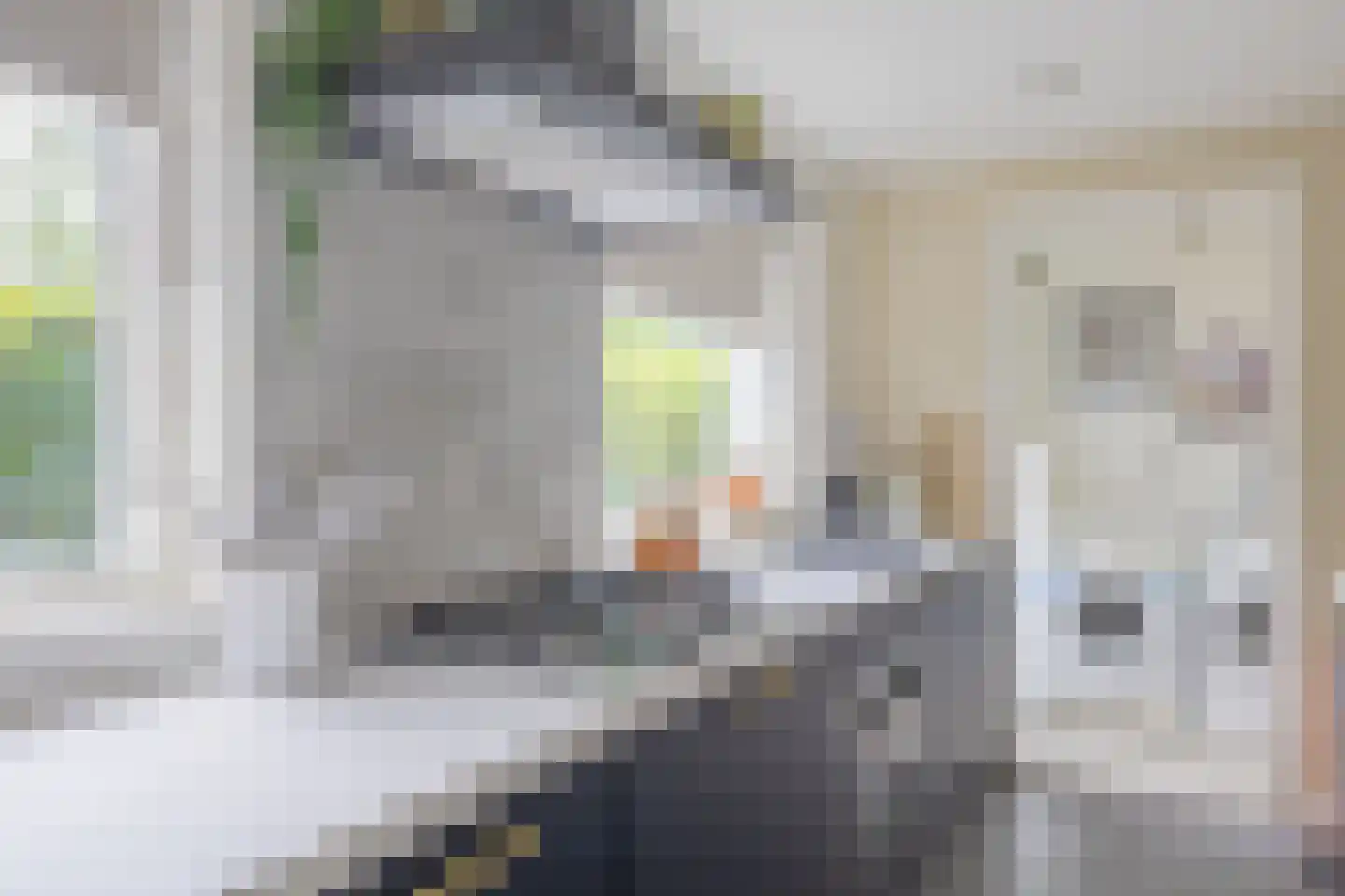 Klein Vlaanderen 32 Middelburg thumbnail 25