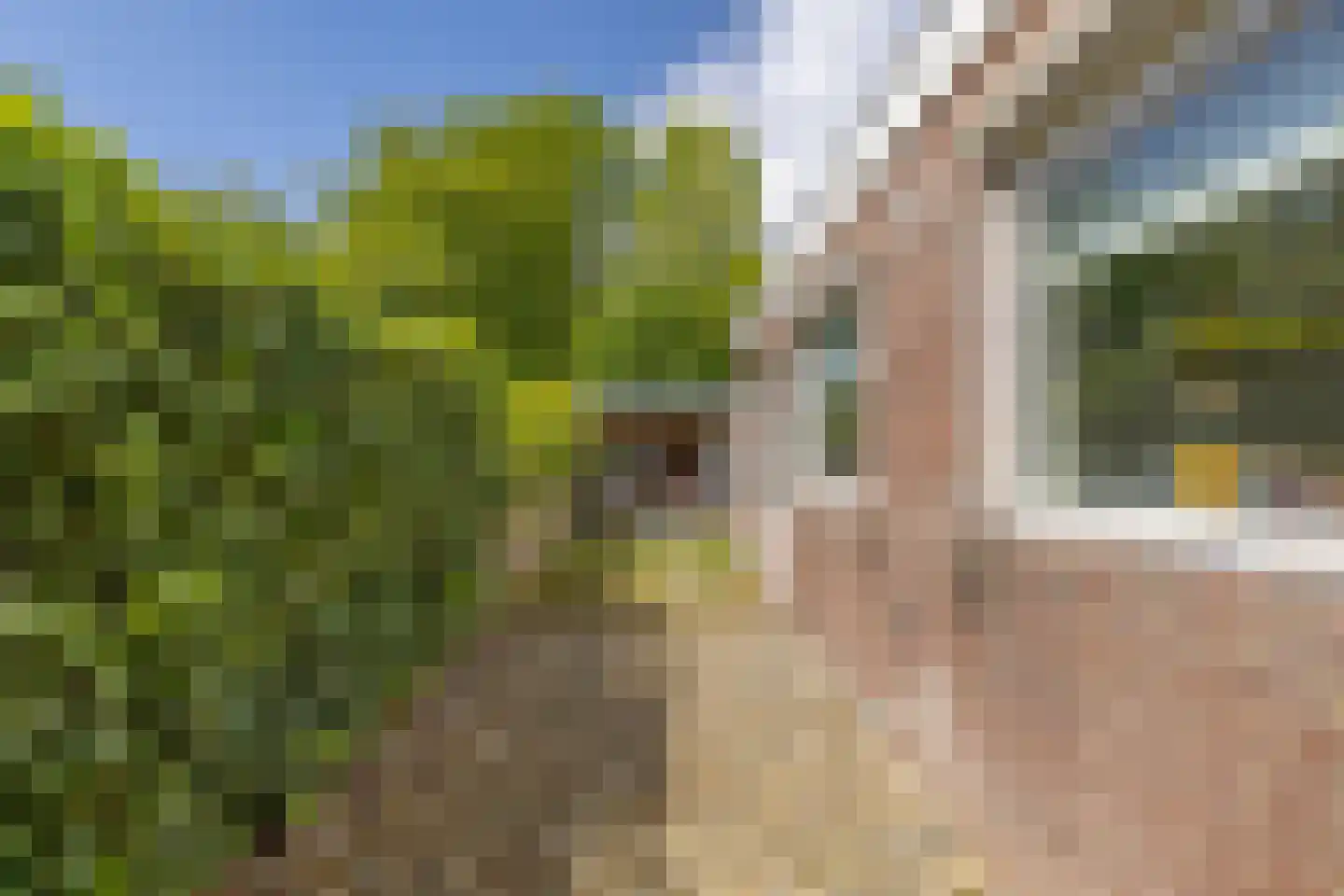 Klein Vlaanderen 32 Middelburg thumbnail 28
