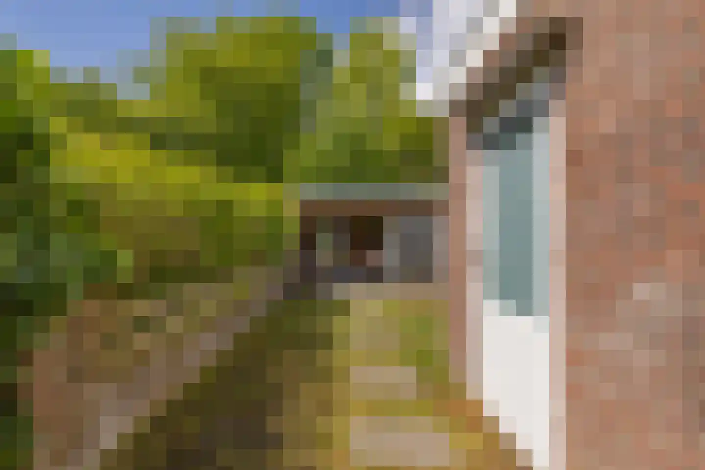 Klein Vlaanderen 32 Middelburg thumbnail 6