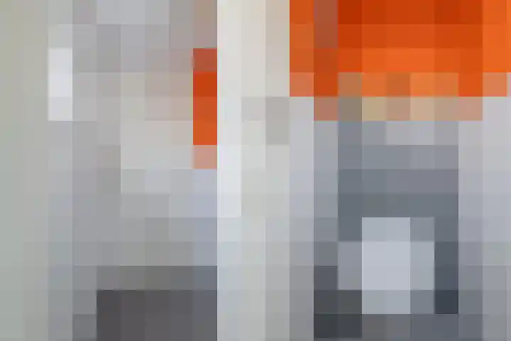 Klein Vlaanderen 5 Middelburg thumbnail 19