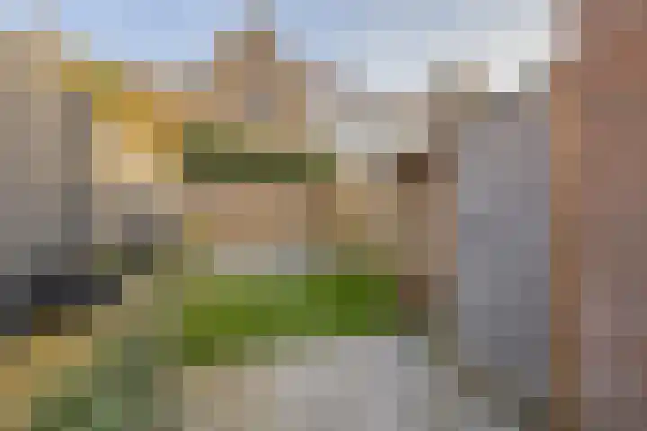 Klein Vlaanderen 5 Middelburg thumbnail 22
