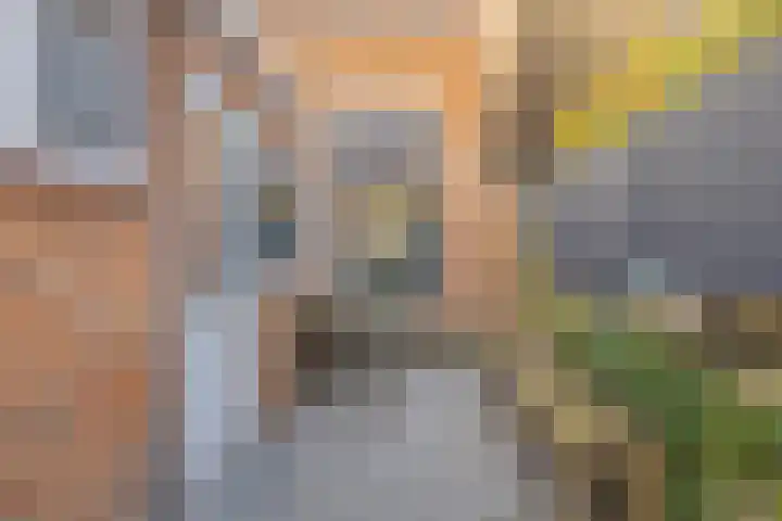 Klein Vlaanderen 5 Middelburg thumbnail 26