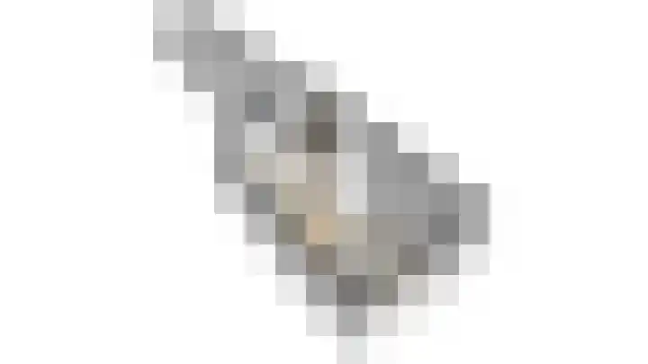 Klein Vlaanderen 5 Middelburg thumbnail 6