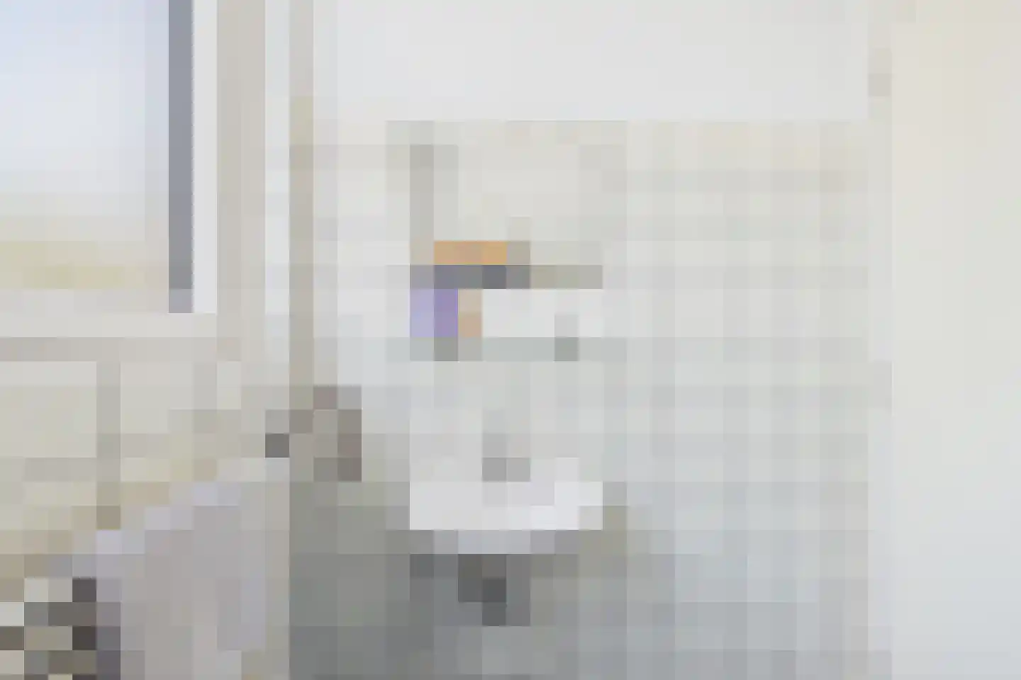 Klein Vlaanderen 61 Middelburg thumbnail 22