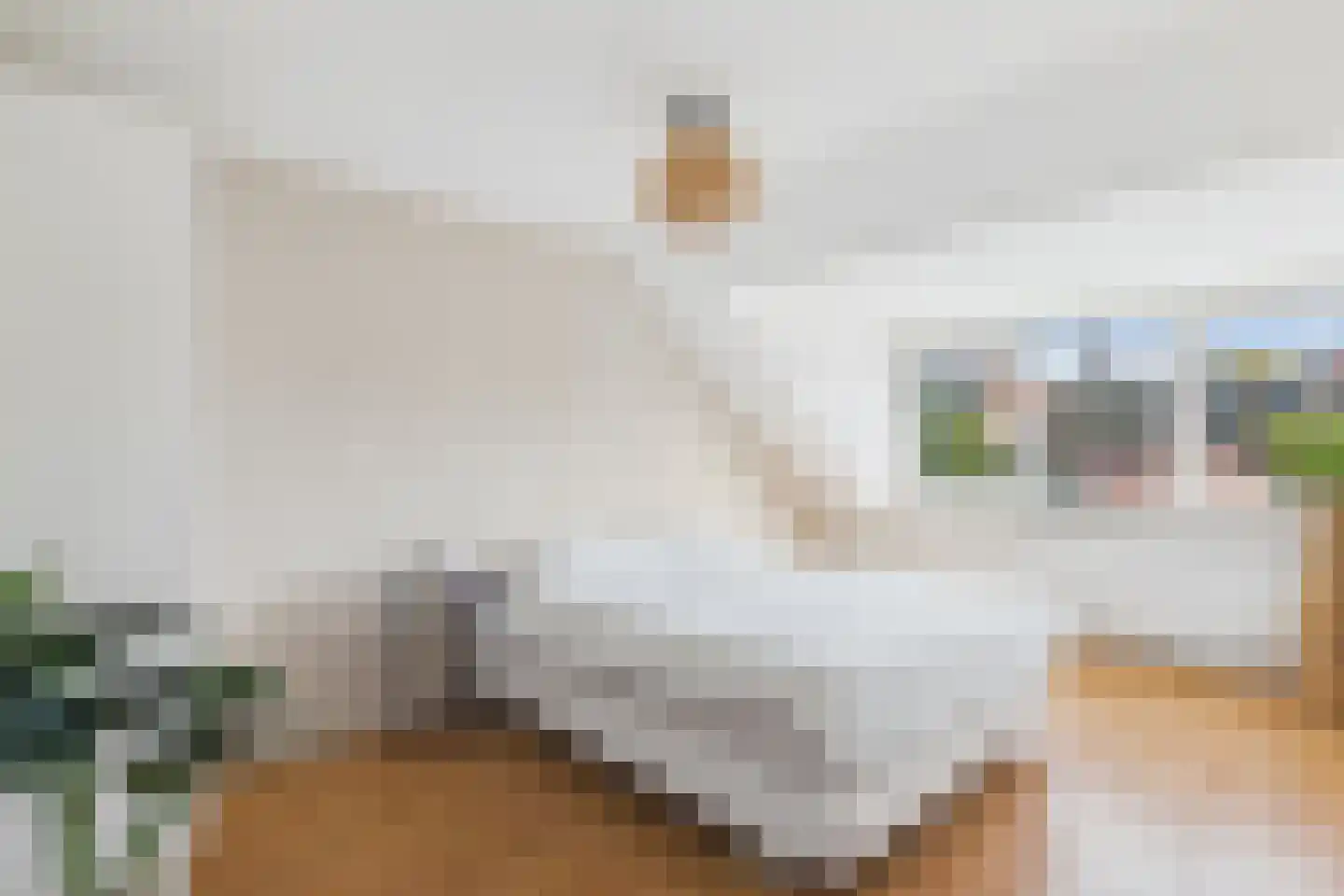 Klein Vlaanderen 61 Middelburg thumbnail 6