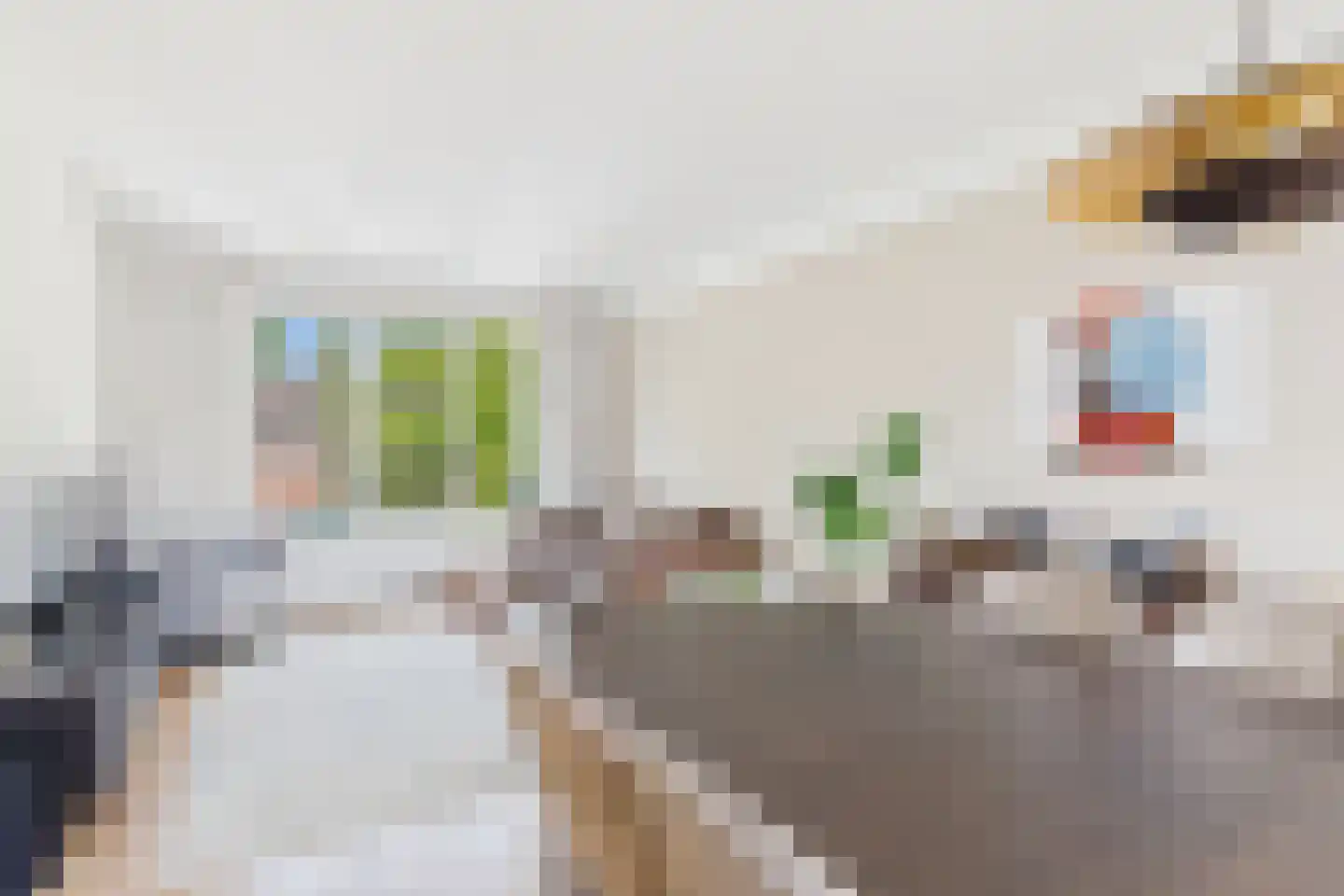 Klein Vlaanderen 61 Middelburg thumbnail 9
