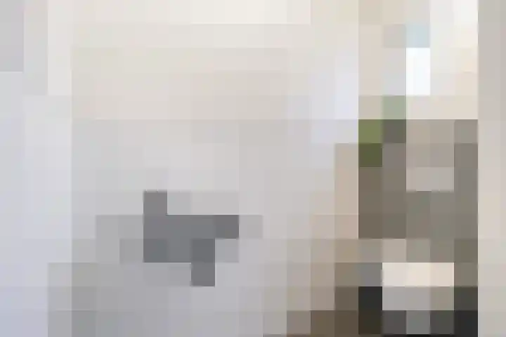 Klein Vlaanderen 70 Middelburg thumbnail 12
