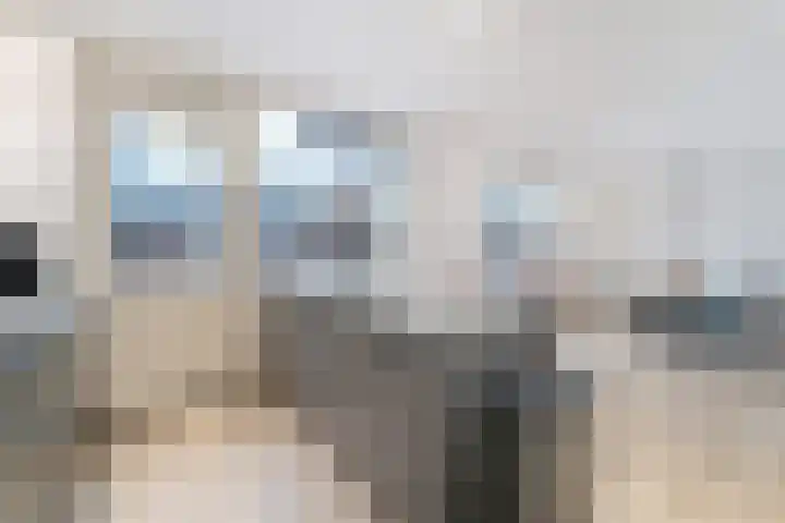 Klein Vlaanderen 70 Middelburg thumbnail 6