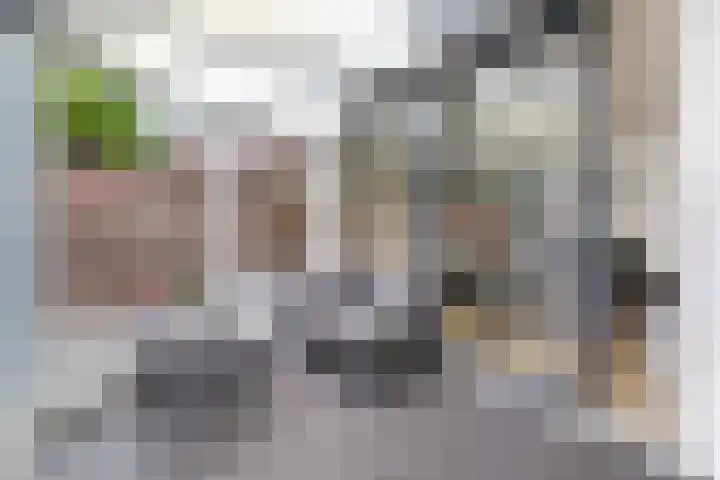 Klein Vlaanderen 70 Middelburg thumbnail 9