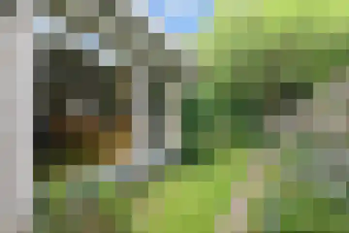 Klein Vlieland 5 Pijnacker thumbnail 34