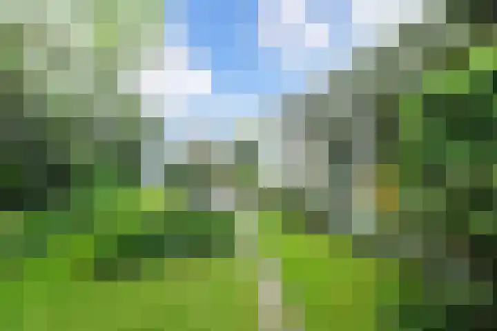 Klein Vlieland 5 Pijnacker thumbnail 38