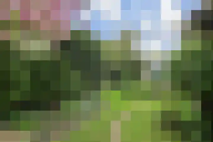 Klein Vlieland 5 Pijnacker thumbnail 5