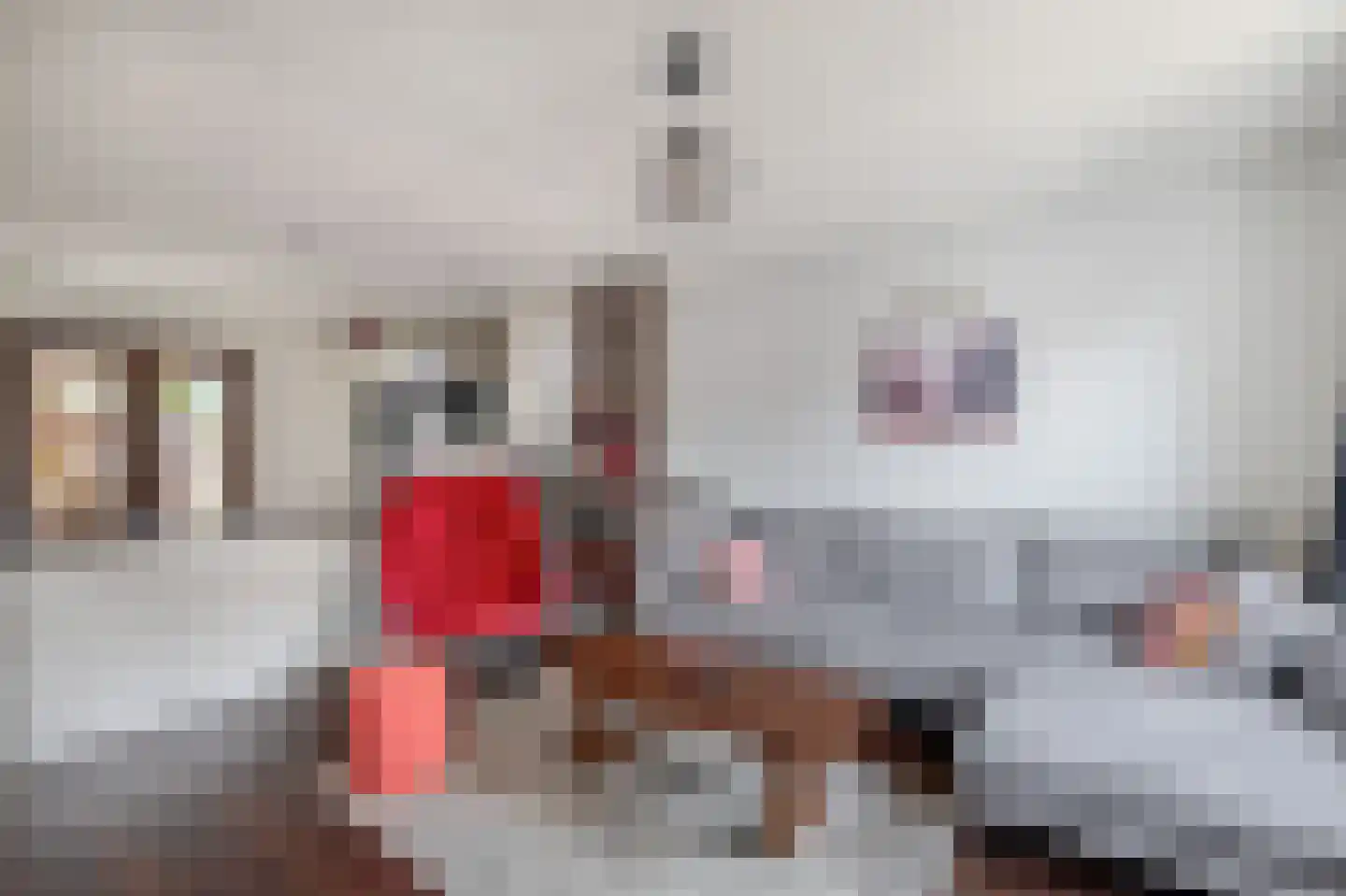 Klein Vreewijk 3 Lisse thumbnail 9