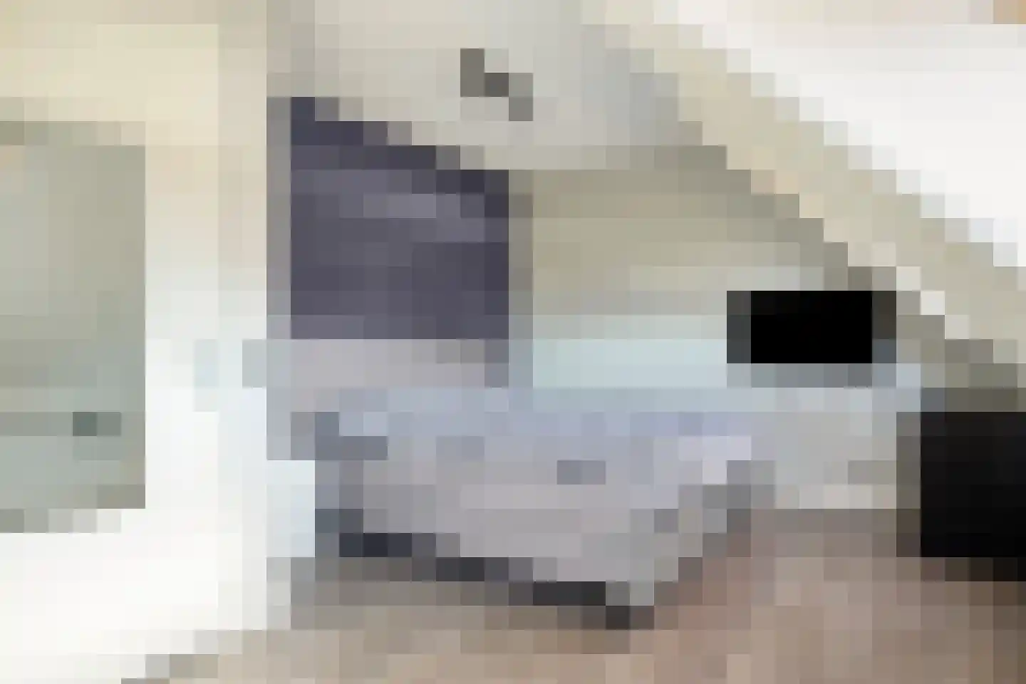 Klein Weulink 16 Broekland thumbnail 17