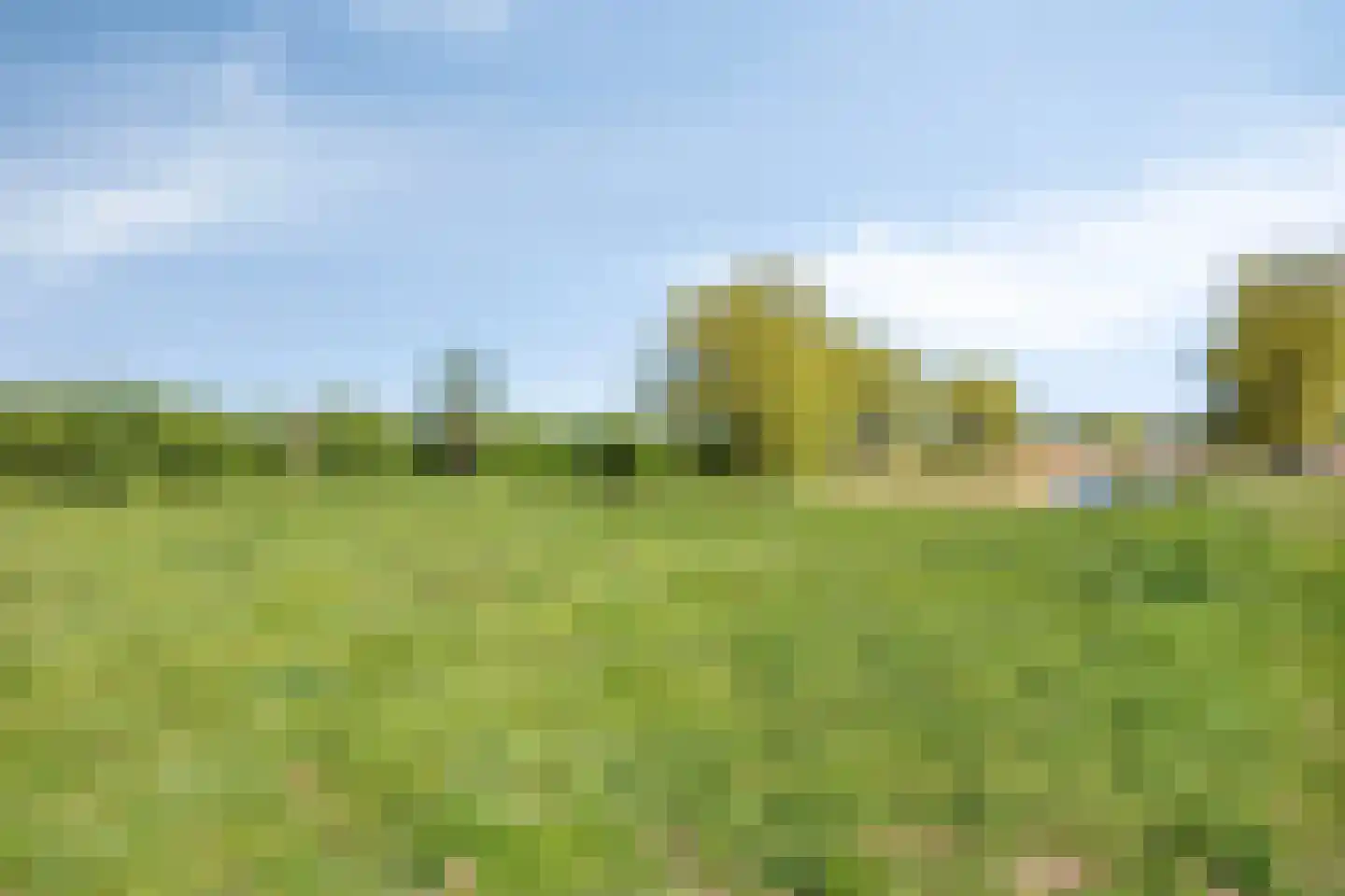 Klein Weulink 16 Broekland thumbnail 30