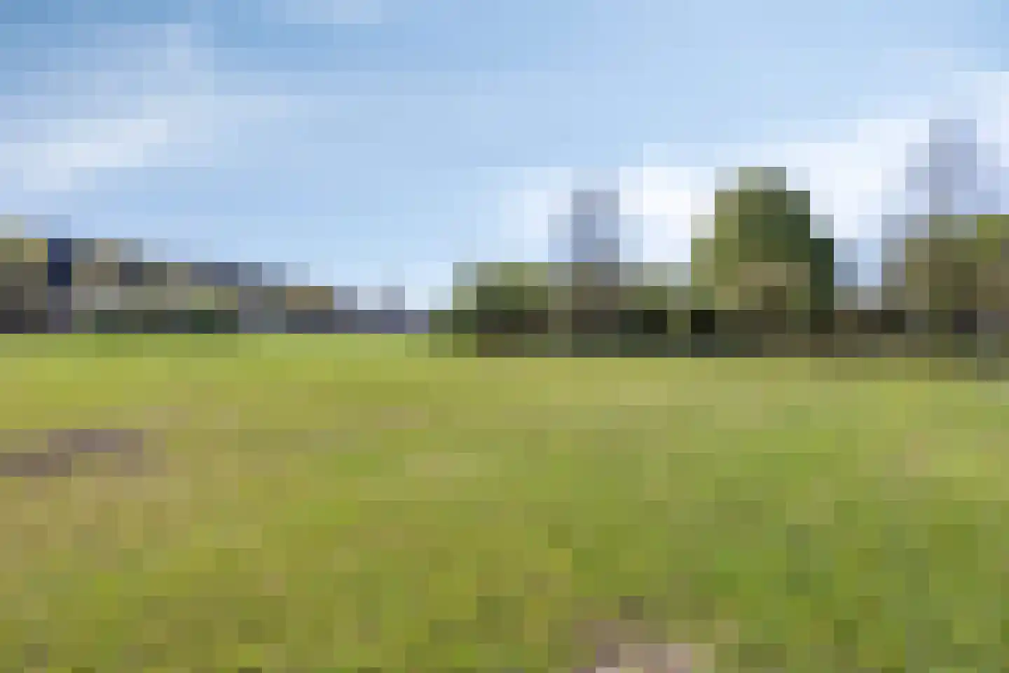 Klein Weulink 16 Broekland thumbnail 31