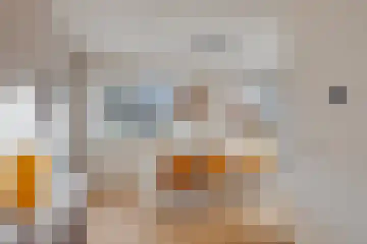 Klein Wielens 12 Schalkhaar thumbnail 12