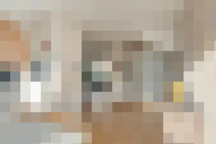 Klein Wielens 12 Schalkhaar thumbnail 13