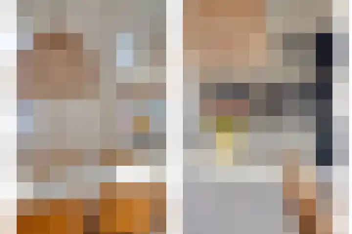 Klein Wielens 12 Schalkhaar thumbnail 14