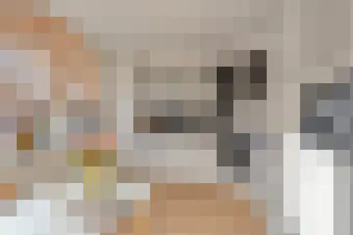 Klein Wielens 12 Schalkhaar thumbnail 15
