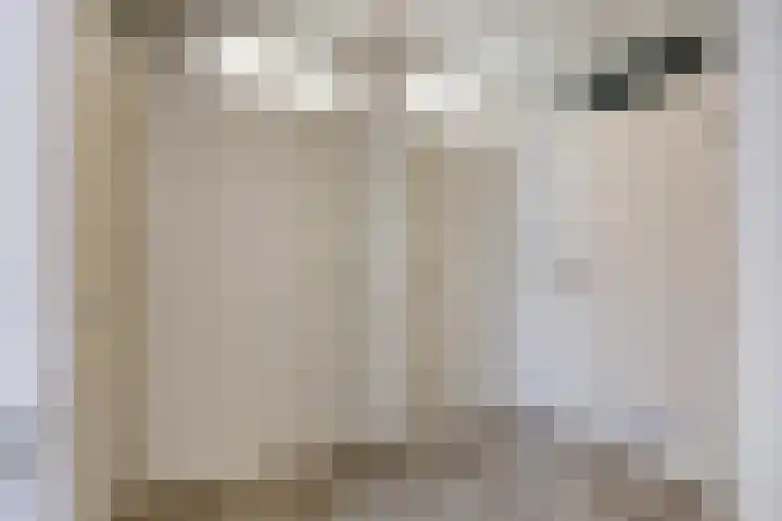 Klein Wielens 12 Schalkhaar thumbnail 18