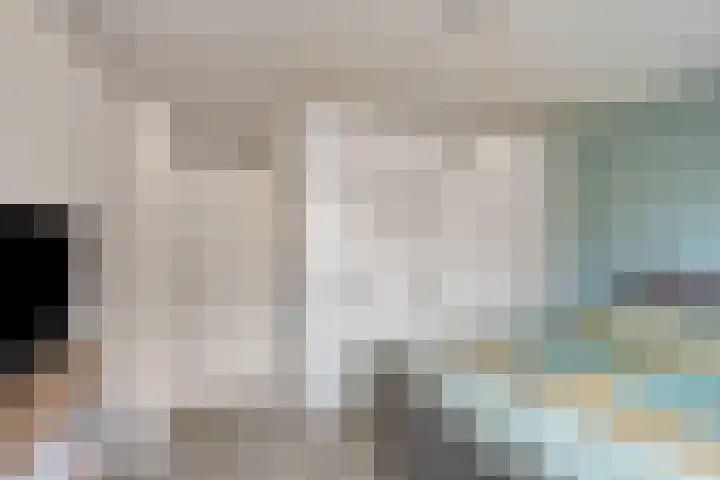 Klein Wielens 12 Schalkhaar thumbnail 20