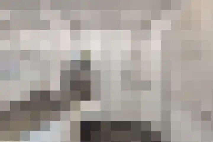 Klein Wielens 12 Schalkhaar thumbnail 21