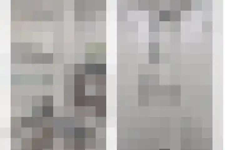 Klein Wielens 12 Schalkhaar thumbnail 22