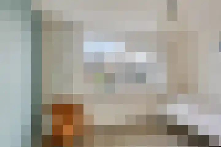 Klein Wielens 12 Schalkhaar thumbnail 23
