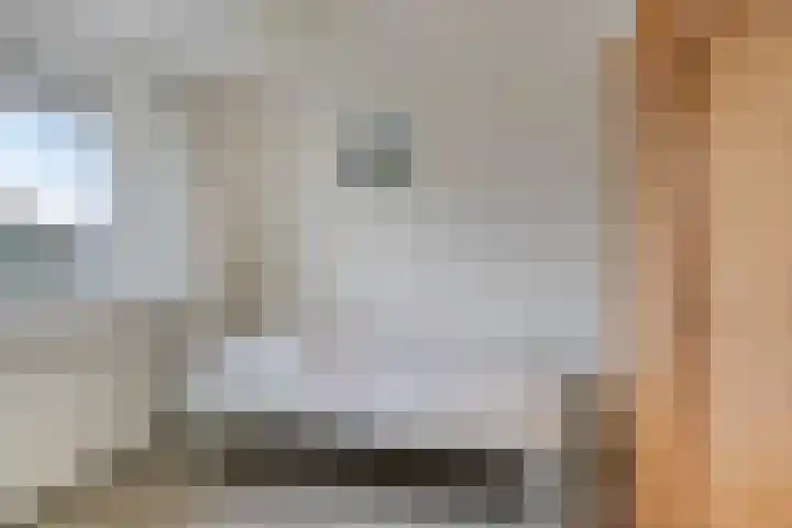 Klein Wielens 12 Schalkhaar thumbnail 24