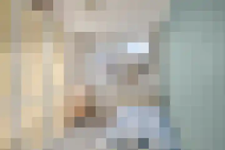 Klein Wielens 12 Schalkhaar thumbnail 25