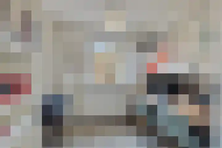 Klein Wielens 12 Schalkhaar thumbnail 30