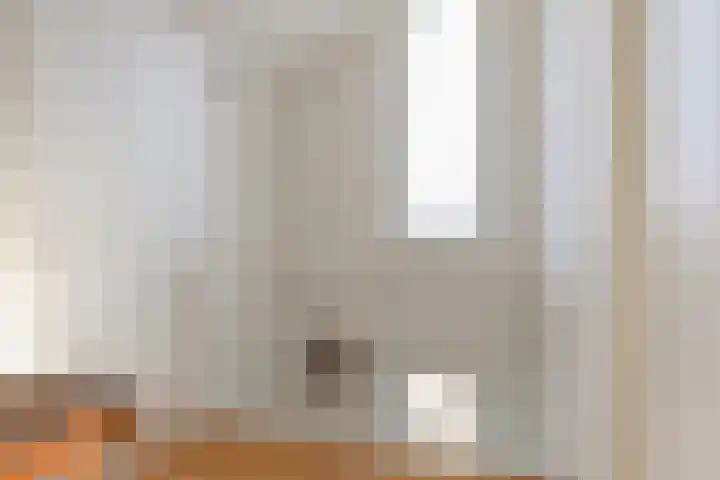 Klein Wielens 12 Schalkhaar thumbnail 31