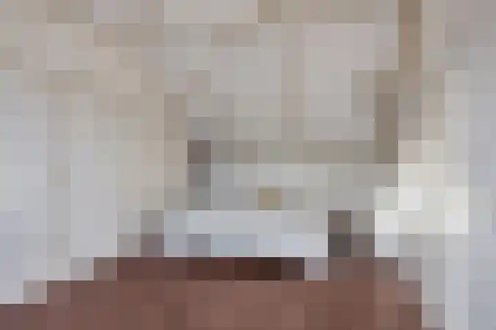Klein Wielens 12 Schalkhaar thumbnail 33