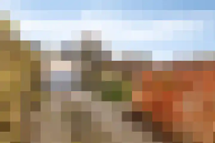 Klein Wielens 12 Schalkhaar thumbnail 35