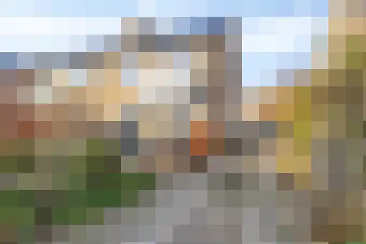 Klein Wielens 12 Schalkhaar thumbnail 36