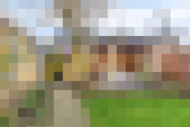 Klein Wielens 12 Schalkhaar thumbnail 37