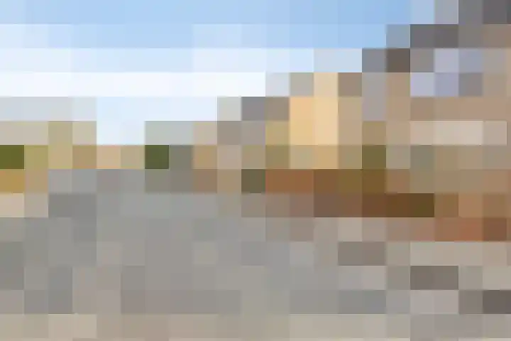 Klein Wielens 12 Schalkhaar thumbnail 41