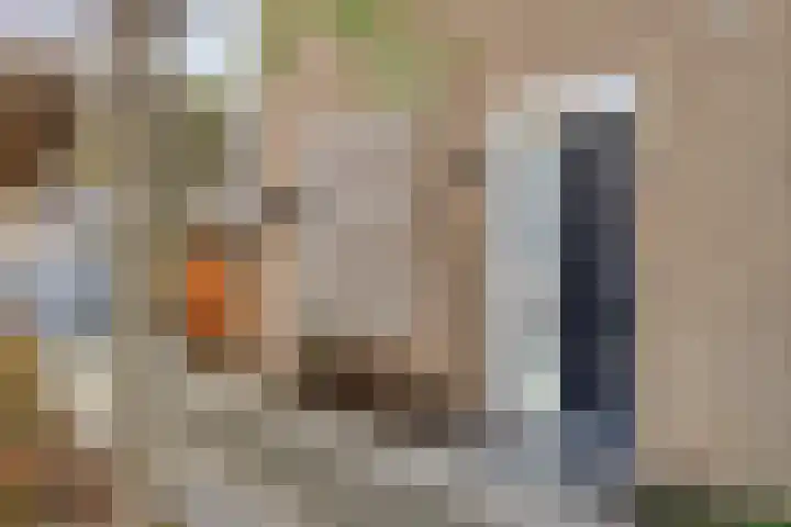 Klein Wielens 12 Schalkhaar thumbnail 5
