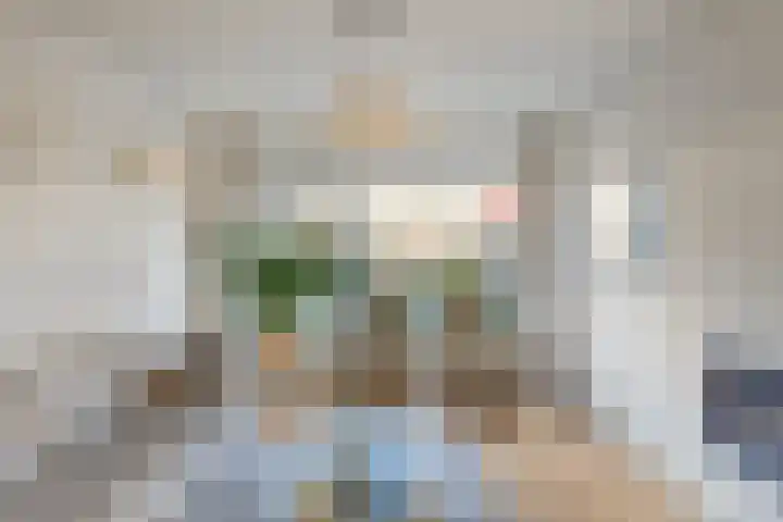 Klein Wielens 12 Schalkhaar thumbnail 8