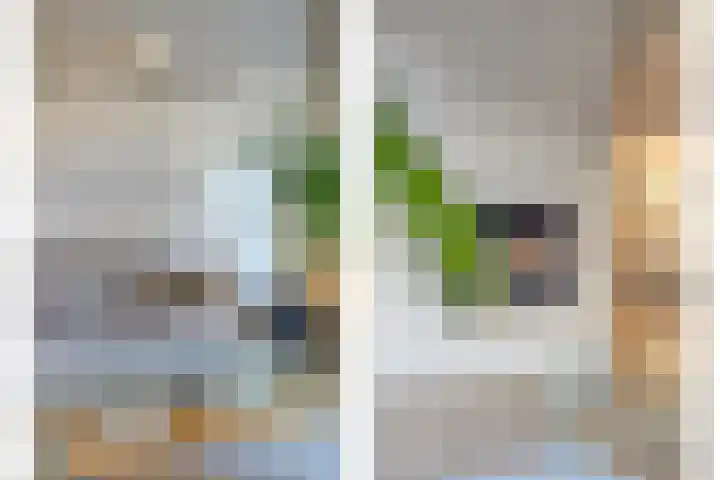 Klein Wielens 12 Schalkhaar thumbnail 9