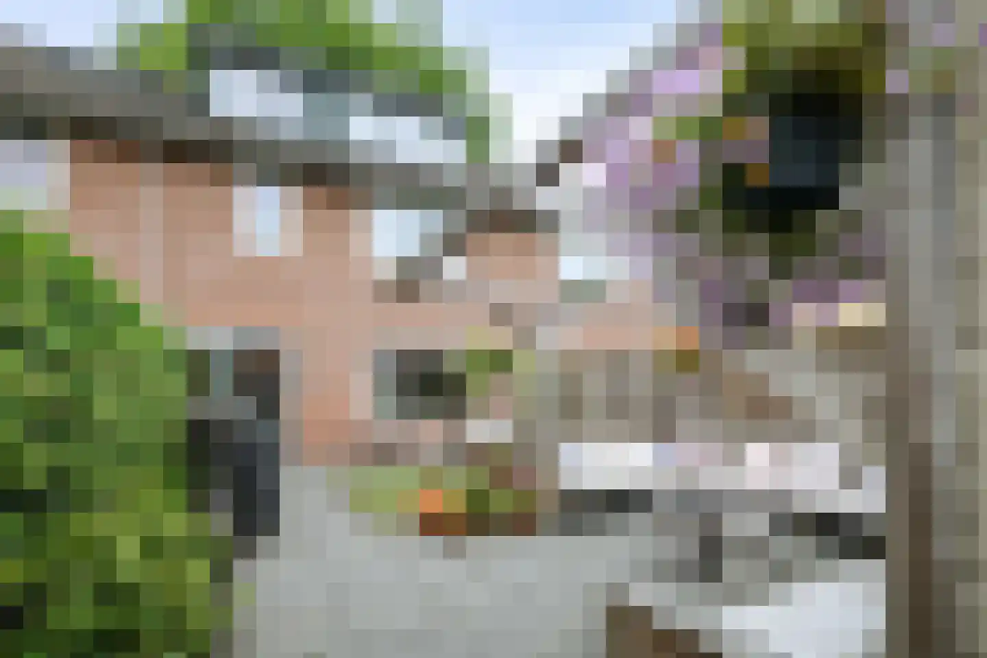 Klein Wielens 27 Schalkhaar thumbnail 27