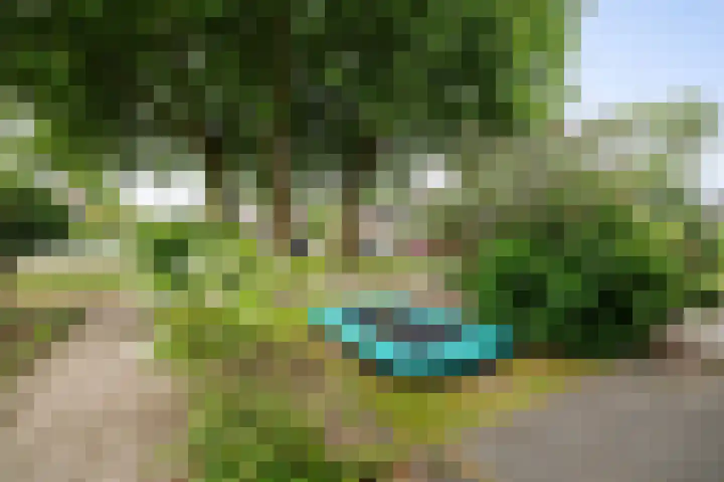Klein Wielens 27 Schalkhaar thumbnail 32
