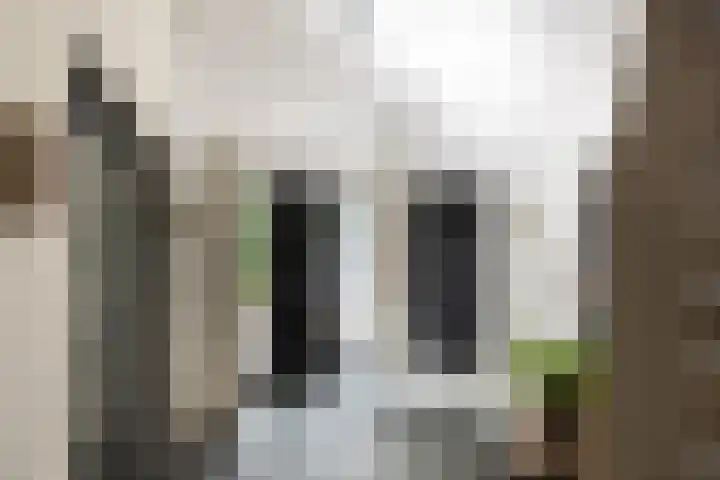 Klein Wolfslaar 18 B Bavel thumbnail 11