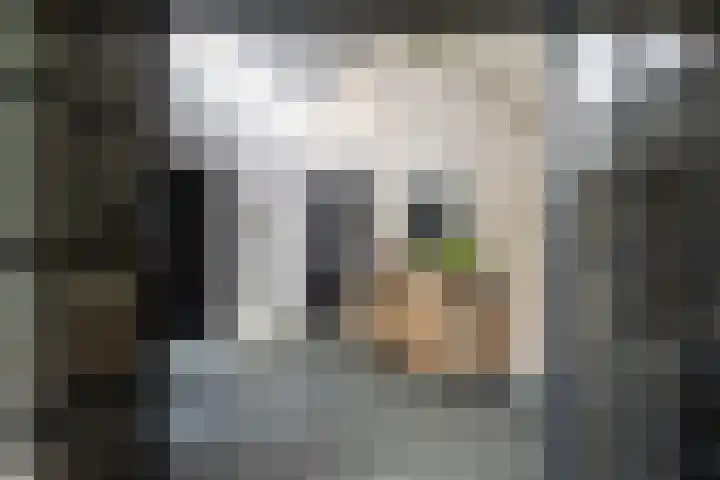 Klein Wolfslaar 18 B Bavel thumbnail 14