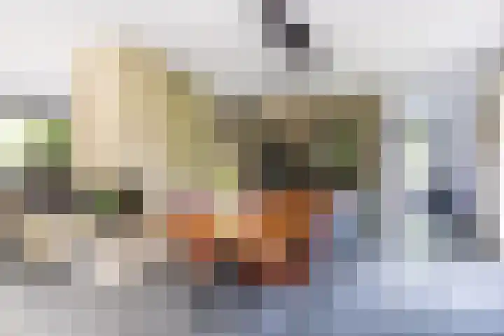 Klein Wolfslaar 18 B Bavel thumbnail 24