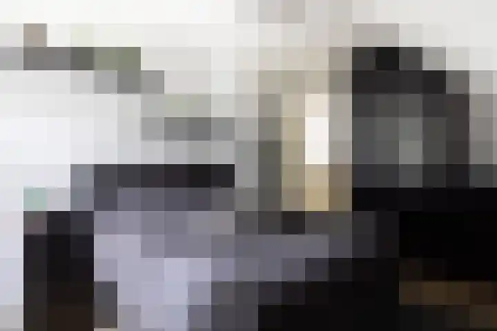 Klein Wolfslaar 18 B Bavel thumbnail 4