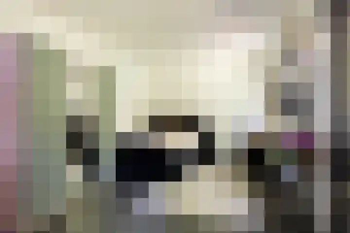 Klein Wolfslaar 18 B Bavel thumbnail 45