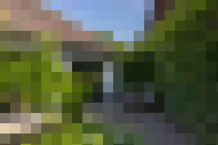 Klein Wolfslaar 18 B Bavel thumbnail 51